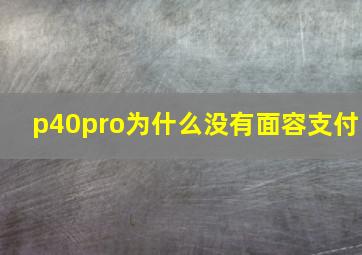 p40pro为什么没有面容支付