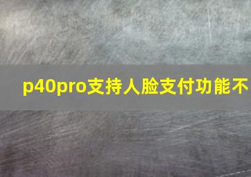 p40pro支持人脸支付功能不