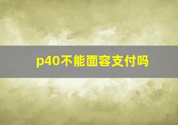 p40不能面容支付吗