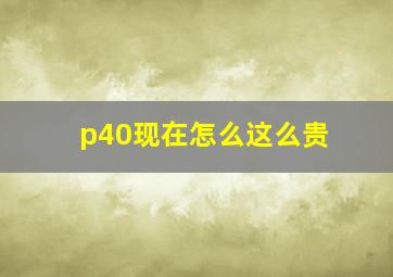 p40现在怎么这么贵