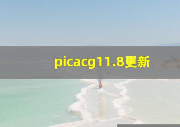 picacg11.8更新