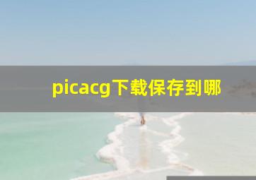 picacg下载保存到哪