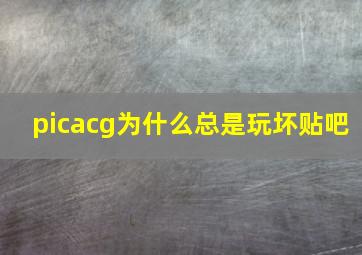 picacg为什么总是玩坏贴吧