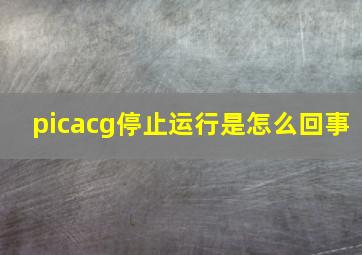 picacg停止运行是怎么回事