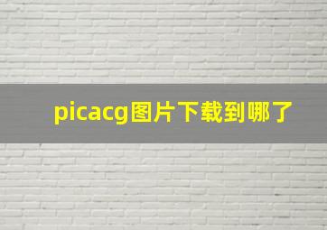 picacg图片下载到哪了