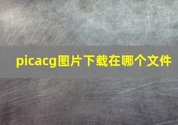 picacg图片下载在哪个文件