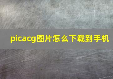 picacg图片怎么下载到手机