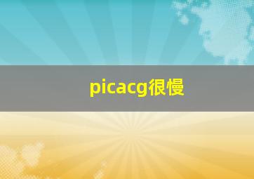 picacg很慢