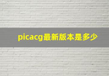 picacg最新版本是多少