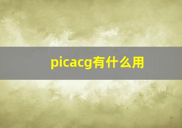 picacg有什么用