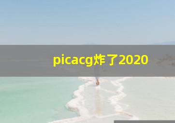 picacg炸了2020