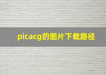 picacg的图片下载路径