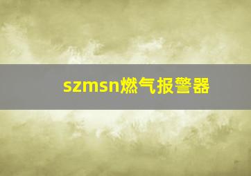 szmsn燃气报警器