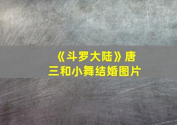 《斗罗大陆》唐三和小舞结婚图片