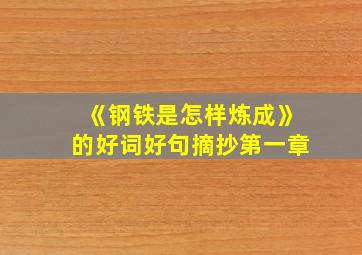 《钢铁是怎样炼成》的好词好句摘抄第一章