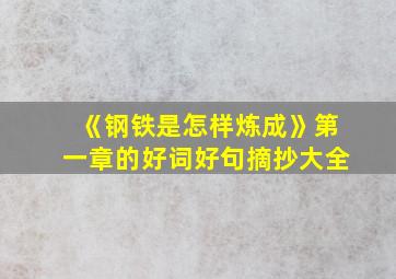 《钢铁是怎样炼成》第一章的好词好句摘抄大全