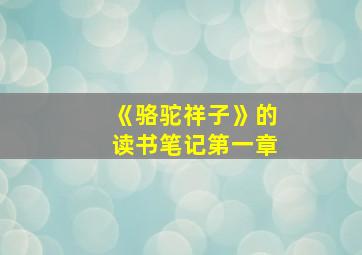 《骆驼祥子》的读书笔记第一章