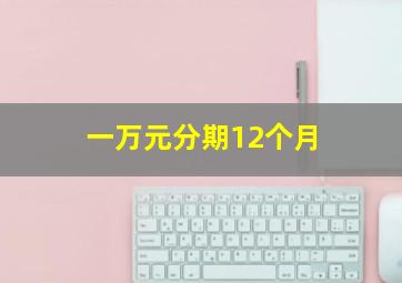 一万元分期12个月