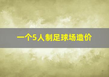 一个5人制足球场造价