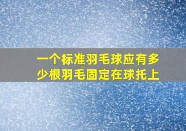 一个标准羽毛球应有多少根羽毛固定在球托上