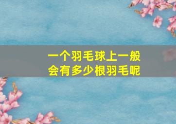 一个羽毛球上一般会有多少根羽毛呢