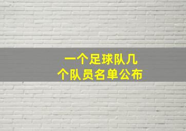 一个足球队几个队员名单公布