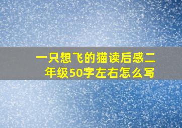 一只想飞的猫读后感二年级50字左右怎么写