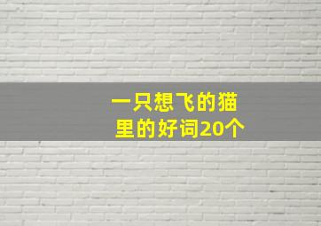 一只想飞的猫里的好词20个