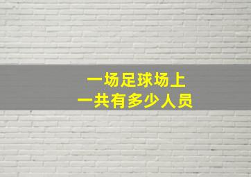 一场足球场上一共有多少人员