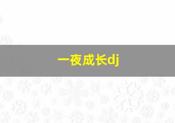 一夜成长dj