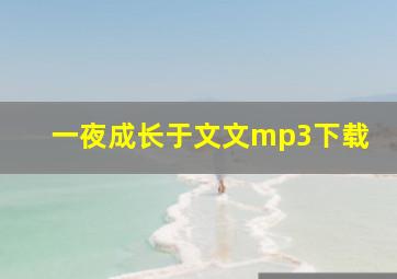 一夜成长于文文mp3下载