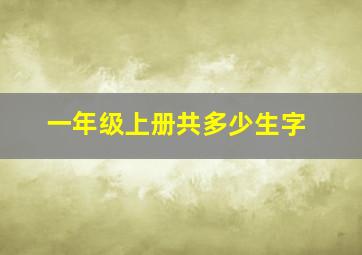 一年级上册共多少生字