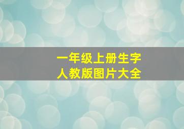 一年级上册生字人教版图片大全