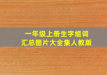 一年级上册生字组词汇总图片大全集人教版