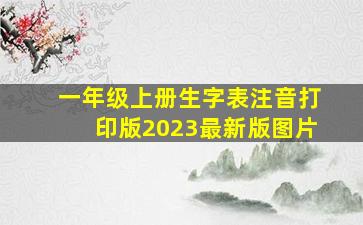 一年级上册生字表注音打印版2023最新版图片