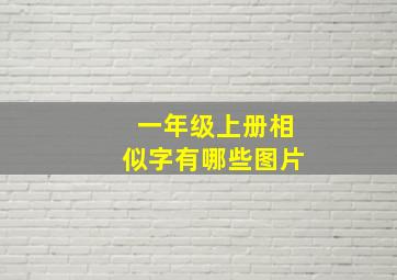 一年级上册相似字有哪些图片