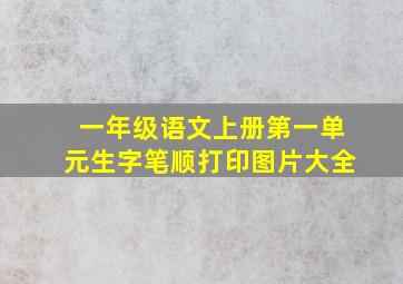 一年级语文上册第一单元生字笔顺打印图片大全