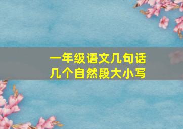 一年级语文几句话几个自然段大小写