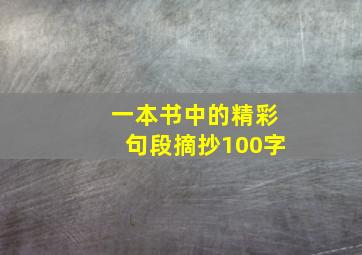 一本书中的精彩句段摘抄100字