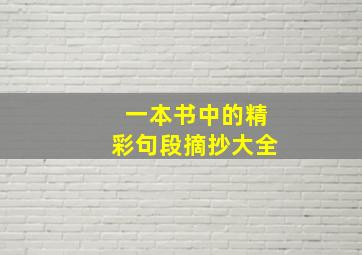 一本书中的精彩句段摘抄大全