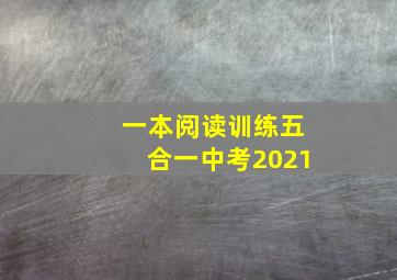 一本阅读训练五合一中考2021