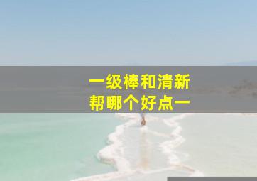 一级棒和清新帮哪个好点一