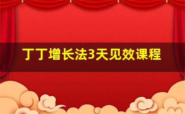 丁丁增长法3天见效课程