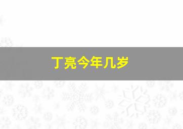 丁亮今年几岁