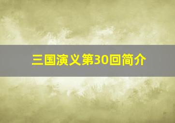 三国演义第30回简介