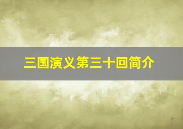 三国演义第三十回简介