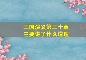 三国演义第三十章主要讲了什么道理