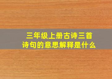 三年级上册古诗三首诗句的意思解释是什么