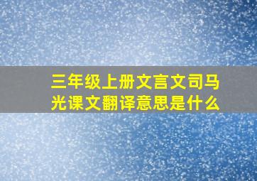 三年级上册文言文司马光课文翻译意思是什么