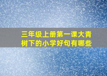 三年级上册第一课大青树下的小学好句有哪些